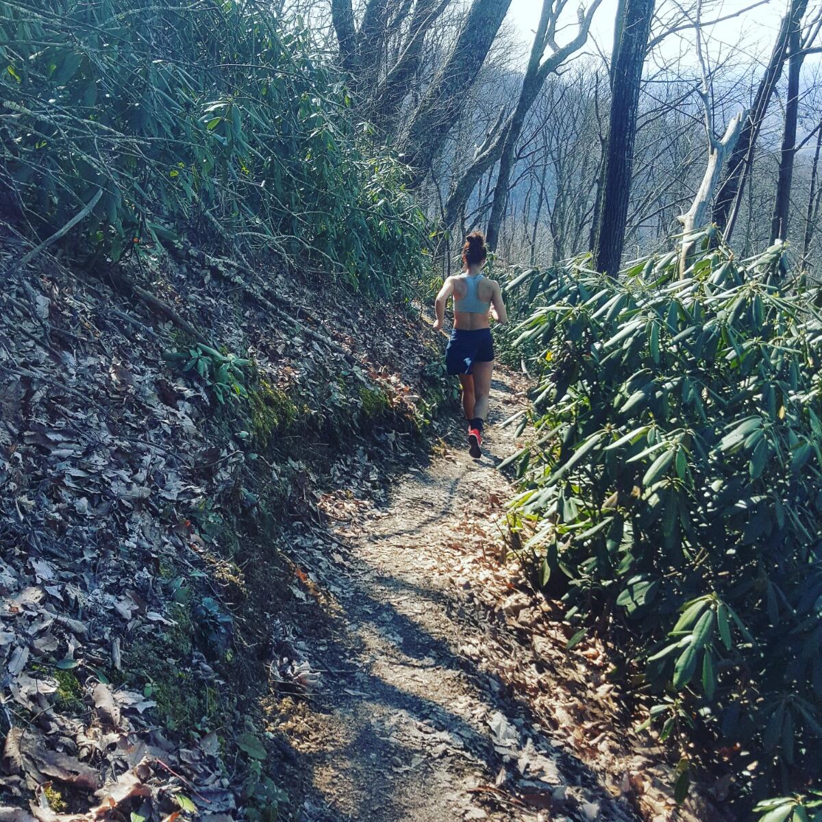 Tennessee Single-Track Trails